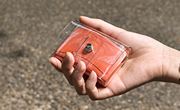 コンパクトウォレットcolors